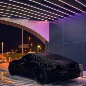 自由 成熟 西元 视频 所有的
